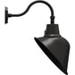 RAB GN1AC 25/20/15W Gooseneck Field Adjustable, Color Temperature Selectable 2700/3000/3500/4000/5000K, 15" Angled Cone Clear Lens, Bronze