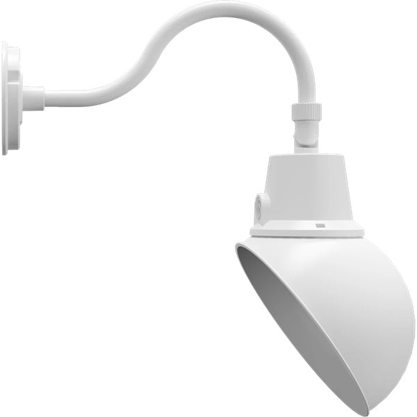RAB GN1ADW 25/20/15W Gooseneck Field Adjustable, Color Temperature Selectable 2700/3000/3500/4000/5000K, 10" Angled Dome Clear Lens, White