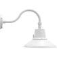 RAB GN1FST 25/20/15W Gooseneck Field Adjustable, Color Temperature Selectable 2700/3000/3500/4000/5000K, 12" Straight Shade Frosted Lens, Bronze