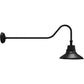 RAB GN2STB 25/20/15W Gooseneck Field Adjustable Style 2, Selectable Color Temperature 2700/3000/3500/4000/5000K, 12" Straight Shade Clear Lens, Black