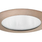 Juno Recessed Lighting 210N-ABZ (210N ABZ) 5" LED, Line Voltage, Compact Fluorescent, Shower Trim, Aged Bronze Trim