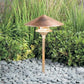 Kim Lighting KLV179NB/H80NB 8-inch Stem 50W MR16 Halogen 12V Brass Traditional Landscape Light, Copper Cone Hood, Natural Finish