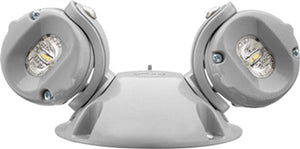 Lithonia ELMRW SP640L DNAXD T Universal DC Voltage, 320 Lumens, Linear Pattern, 5VDC-20VDC Input, Twin Lamps, Natural Aluminum