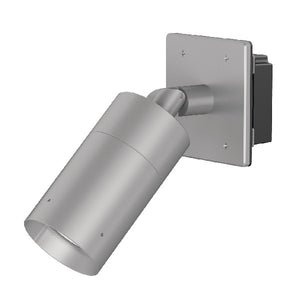 Lumiere 1003-A1-RCS-RI-LED2790-F-CS-L1-UNV-WRS 10W Lanterra 1003 Accent and Flood LED, 1 Head, Indoor Hood, 2700K, 90 CRI, Flood Optic, City Silver Finish, 120-277V, Square Wall Plate Remote Driver Housing