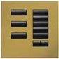 Lutron HWIS-8BRL-F-SB HomeWorks QS Wired International seeTouch 8-Button/Faceplate Kit with Raise/Lower, Frameless Style, Matte Finish, Satin Brass