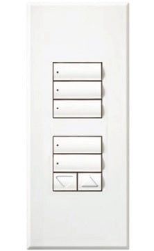 Lutron LFS-W1RLD-QB HomeWorks QS Wired seeTouch Signature Dual Group, One Raise/Lower Faceplate Kit, Architectural Metal Finish (Faceplate Only), in Antique Brass
