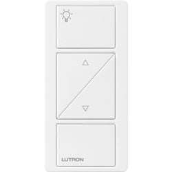 Lutron PX-2BRL-GWH-I01 Pico Wired Control, 2-Button with Raise/Lower and Icon Engraving in White