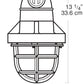 RAB EP12-3/4 300W Explosionproof Pendant, 1 Hub Count, 3/4" Hub Size, Silver Gray Finish