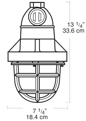 RAB EP124 300W Explosionproof Pendant with Die Cast Guard, 1 Hub Count, 1/2" Hub Size, Silver Gray Finish