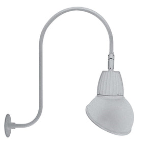 RAB GN3LED26YRAD11S 26W LED Gooseneck Dome Shade with Upcurve 30" High, 25" from Wall Goose Arm, 3000K (Warm), Rectangular Reflector, 11" Angled Dome Shade, Silver Finish