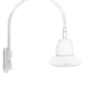 RAB GN5LED13NSST11W 13W LED Gooseneck Straight Shade with Pole 20" High, 19" from Pole Goose Arm, 4000K (Neutral), Spot Reflector, 11" Straight Angle Shade, White Finish