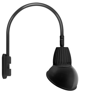 RAB GN5LED13YRAD11B 13W LED Gooseneck Dome Shade with Pole 20" High, 19" from Pole Goose Arm, 3000K (Warm), Rectangular Reflector, 11" Angled Dome Shade, Black Finish