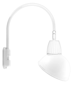 RAB GN5LED26NSADW 26W LED Gooseneck Dome Shade with Pole 20" High, 19" from Pole Goose Arm, 4000K (Neutral), Spot Reflector, 15" Angled Dome Shade, White Finish