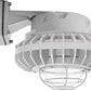 RAB HAZBLED26C-G 26W Wall Mount LED Hazardous Location Fixture, 5100K (Cool), 2521 Lumens, 70 CRI, Clear Globes, Wire Guard, Natural Finish