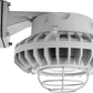 RAB HAZBLED26CF-G 26W Wall Mount LED Hazardous Location Fixture, 5100K (Cool), 2881 Lumens, 69 CRI, Clear Lens, Wire Guard, Natural Finish