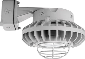 RAB HAZBLED26CF-G 26W Wall Mount LED Hazardous Location Fixture, 5100K (Cool), 2881 Lumens, 69 CRI, Clear Lens, Wire Guard, Natural Finish
