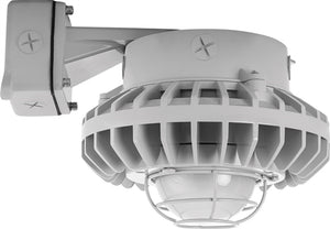 RAB HAZBLED26F-G 26W Wall Mount LED Hazardous Location Fixture, 5100K (Cool), 2334 Lumens, 70 CRI, Frosted Globes, Wire Guard, Natural Finish