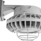 RAB HAZBLED26FF-G 26W Wall Mount LED Hazardous Location Fixture, 5100K (Cool), 2249 Lumens, 69 CRI, Frosted Lens, Wire Guard, Natural Finish