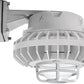 RAB HAZBLED42C-DG 42W Wall Mount LED Hazardous Location Fixture, 5100K (Cool), 2671 Lumens, 70 CRI, Clear Globes, Die Cast Guard, Natural Finish