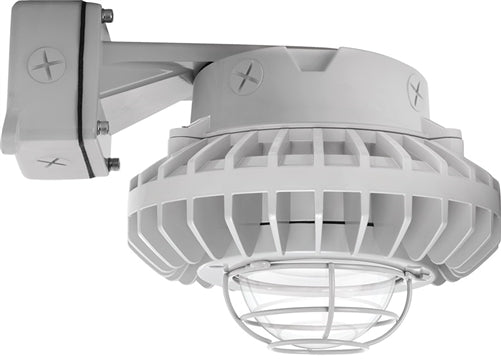 RAB HAZBLED42C-G 42W Wall Mount LED Hazardous Location Fixture, 5100K (Cool), 3316 Lumens, 70 CRI, Clear Globes, Wire Guard, Natural Finish