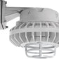 RAB HAZBLED42CF-DG 42W Wall Mount LED Hazardous Location Fixture, 5100K (Cool), 3816 Lumens, 69 CRI, Clear Lens, Die Cast Guard, Natural Finish