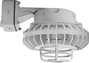 RAB HAZBLED42CF-DG 42W Wall Mount LED Hazardous Location Fixture, 5100K (Cool), 3816 Lumens, 69 CRI, Clear Lens, Die Cast Guard, Natural Finish