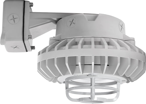 RAB HAZBLED42CF-DG 42W Wall Mount LED Hazardous Location Fixture, 5100K (Cool), 3816 Lumens, 69 CRI, Clear Lens, Die Cast Guard, Natural Finish