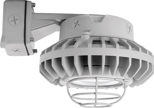 RAB HAZBLED42CF-G 42W Wall Mount LED Hazardous Location Fixture, 5100K (Cool), 3816 Lumens, 69 CRI, Clear Lens, Wire Guard, Natural Finish