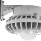 RAB HAZBLED42F 42W Wall Mount LED Hazardous Location Fixture, 5100K (Cool), 3542 Lumens, 70 CRI, Frosted Globes, No Guard, Natural Finish