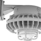 RAB HAZBLED42F-DG 42W Wall Mount LED Hazardous Location Fixture, 5100K (Cool), 2520 Lumens, 70 CRI, Frosted Globes, Die Cast Guard, Natural Finish