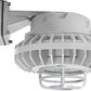 RAB HAZBLED42FF-DG 42W Wall Mount LED Hazardous Location Fixture, 5100K (Cool), 2986 Lumens, 69 CRI, Frosted Lens, Die Cast Guard, Natural Finish