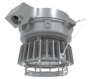 RAB HAZLED60SCF 60W Hazardouz LED Light, 5000K, 8957 Lumens, 80 CRI