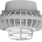 RAB HAZPLED26C-DG 26W Pendant Mount LED Hazardous Location Fixture, 5100K (Cool), 2035 Lumens, 70 CRI, Clear Globes, Die Cast Guard, Natural Finish