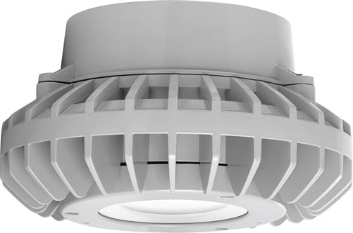 RAB HAZPLED26CF 26W Pendant Mount LED Hazardous Location Fixture, 5100K (Cool), 2881 Lumens, 69 CRI, Clear Lens, No Guard, Natural Finish
