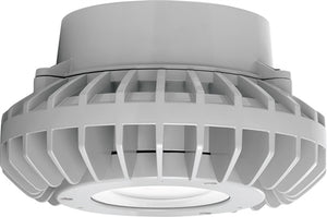 RAB HAZPLED26CF 26W Pendant Mount LED Hazardous Location Fixture, 5100K (Cool), 2881 Lumens, 69 CRI, Clear Lens, No Guard, Natural Finish