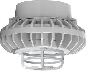 RAB HAZPLED26CF-DG 26W Pendant Mount LED Hazardous Location Fixture, 5100K (Cool), 2881 Lumens, 69 CRI, Clear Lens, Die Cast Guard, Natural Finish