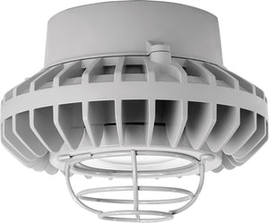 RAB HAZPLED26CF-G 26W Pendant Mount LED Hazardous Location Fixture, 5100K (Cool), 2881 Lumens, 69 CRI, Clear Lens, Wire Guard, Natural Finish