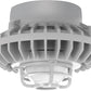 RAB HAZPLED26F-DG 26W Pendant Mount LED Hazardous Location Fixture, 5100K (Cool), 1916 Lumens, 70 CRI, Frosted Globes, Die Cast Guard, Natural Finish