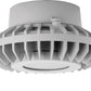 RAB HAZPLED26FF 26W Pendant Mount LED Hazardous Location Fixture, 5100K (Cool), 2249 Lumens, 69 CRI, Frosted Lens, No Guard, Natural Finish