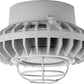 RAB HAZPLED26FF-G 26W Pendant Mount LED Hazardous Location Fixture, 5100K (Cool), 2249 Lumens, 69 CRI, Frosted Lens, Wire Guard, Natural Finish