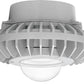 RAB HAZPLED42C 42W Pendant Mount LED Hazardous Location Fixture, 5100K (Cool), 3810 Lumens, 70 CRI, Clear Globes, No Guard, Natural Finish
