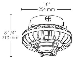 RAB HAZPLED42C-DG 42W Pendant Mount LED Hazardous Location Fixture, 5100K (Cool), 2671 Lumens, 70 CRI, Clear Globes, Die Cast Guard, Natural Finish