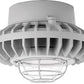 RAB HAZPLED42C-G 42W Pendant Mount LED Hazardous Location Fixture, 5100K (Cool), 3316 Lumens, 70 CRI, Clear Globes, Wire Guard, Natural Finish