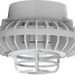 RAB HAZPLED42CF-DG 42W Pendant Mount LED Hazardous Location Fixture, 5100K (Cool), 3816 Lumens, 69 CRI, Clear Lens, Die Cast Guard, Natural Finish