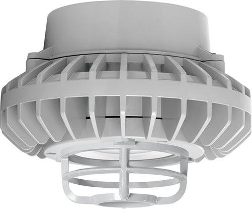 RAB HAZPLED42CF-DG 42W Pendant Mount LED Hazardous Location Fixture, 5100K (Cool), 3816 Lumens, 69 CRI, Clear Lens, Die Cast Guard, Natural Finish