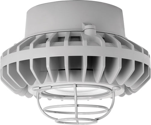 RAB HAZPLED42CF-G 42W Pendant Mount LED Hazardous Location Fixture, 5100K (Cool), 3816 Lumens, 69 CRI, Clear Lens, Wire Guard, Natural Finish