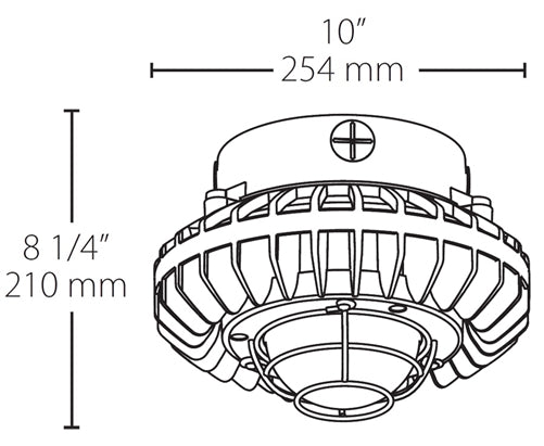 RAB HAZPLED42CF-G 42W Pendant Mount LED Hazardous Location Fixture, 5100K (Cool), 3816 Lumens, 69 CRI, Clear Lens, Wire Guard, Natural Finish