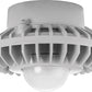 RAB HAZPLED42F 42W Pendant Mount LED Hazardous Location Fixture, 5100K (Cool), 3542 Lumens, 70 CRI, Frosted Globes, No Guard, Natural Finish