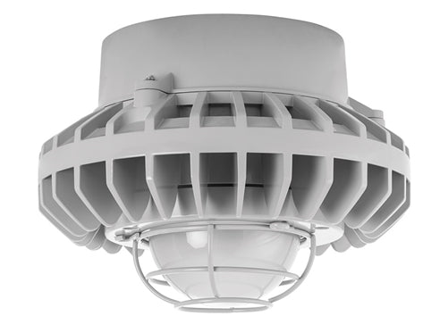 RAB HAZPLED42F-G 42W Pendant Mount LED Hazardous Location Fixture, 5100K (Cool), 3076 Lumens, 70 CRI, Frosted Globes, Wire Guard, Natural Finish