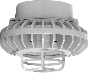 RAB HAZPLED42FF-DG 42W Pendant Mount LED Hazardous Location Fixture, 5100K (Cool), 2986 Lumens, 69 CRI, Frosted Lens, Die Cast Guard, Natural Finish